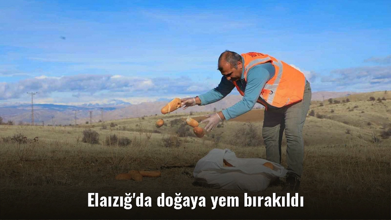 Elaızığ'da doğaya yem bırakıldı