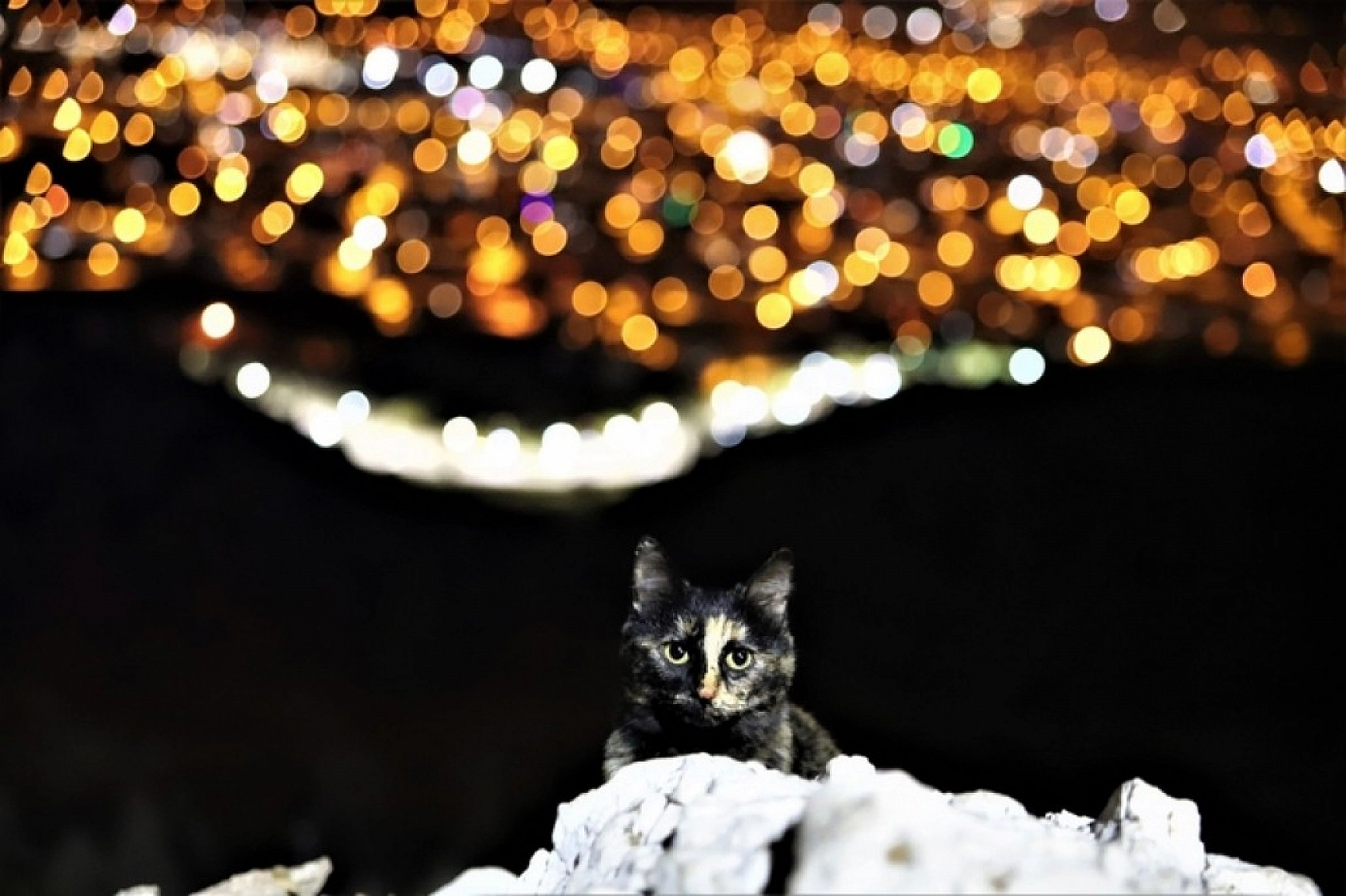 Elazığ Sesizliğe Büründü!