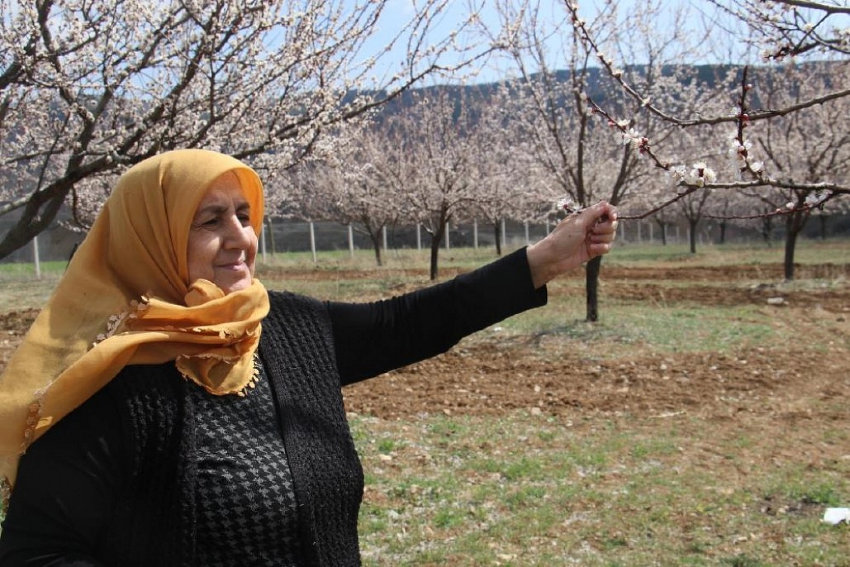 Elazığ'da Ağaçlar Beyaz Gelinliğini Giyindi