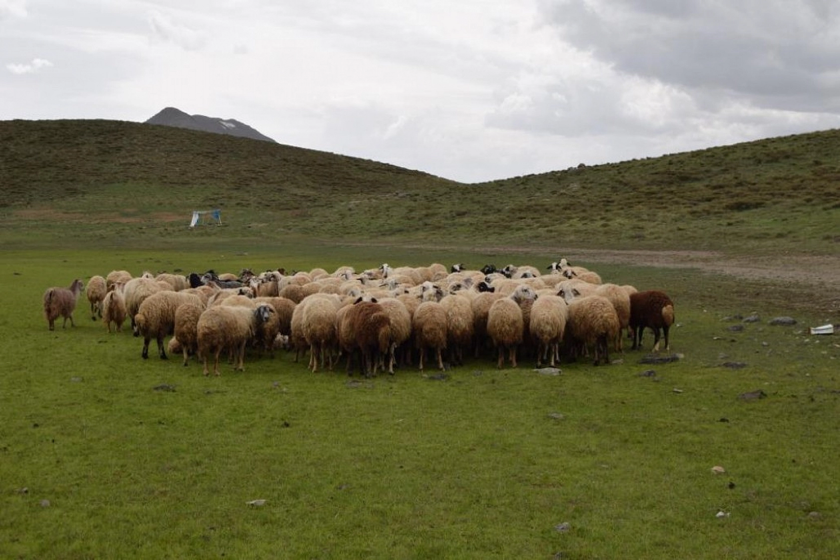 Kalbi Anımsatan O Göl Kurudu