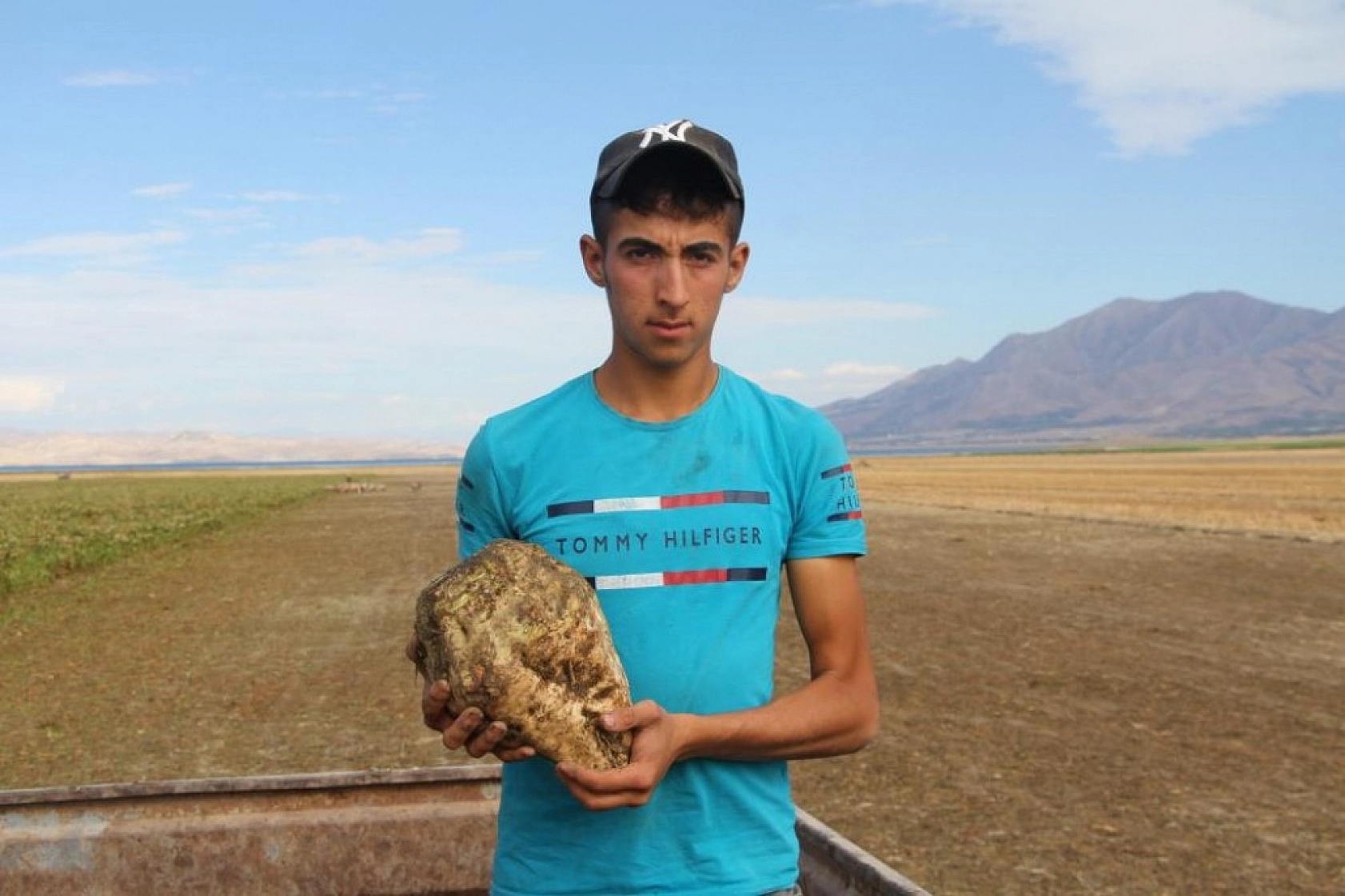 Baraj Gölünde Sular Çekildi, Çiftçiler Bölgeye Şeker Pancarı Ekti!