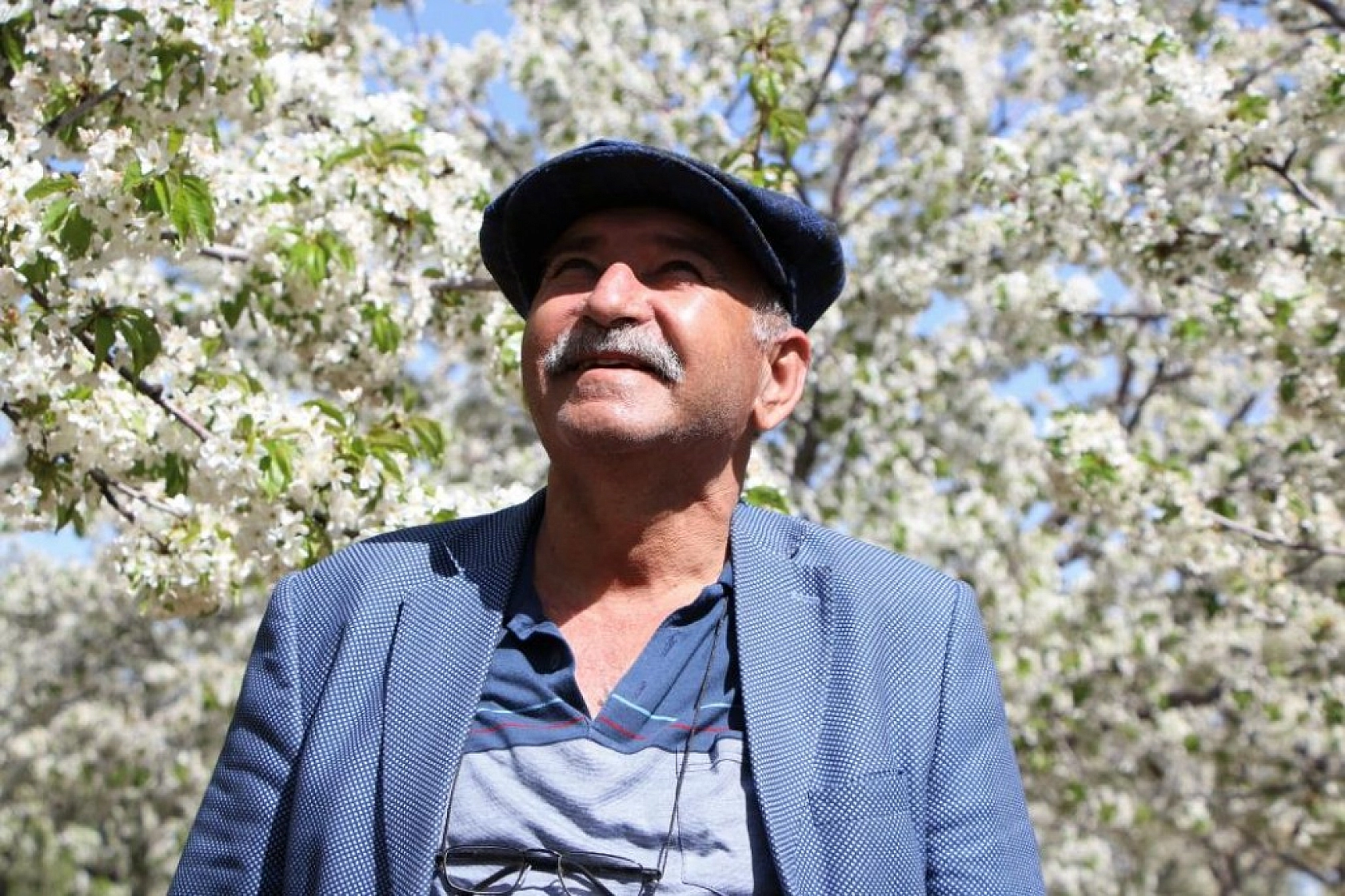 Harput Kiraz Çiçekleriyle Beyaza Büründü