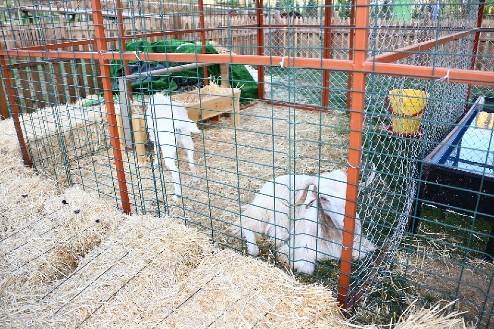 Kent-Köy'e Vatandaşlardan Yoğun İlgi