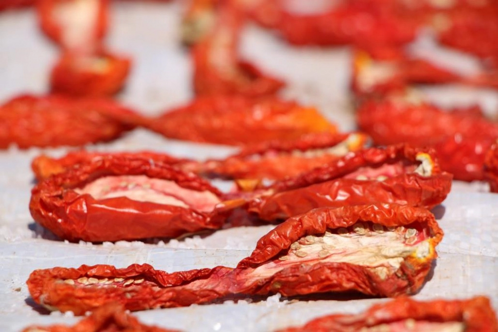 Sofralara Lezzet Katan Kurutmalık Domatesin Hasadı Başladı