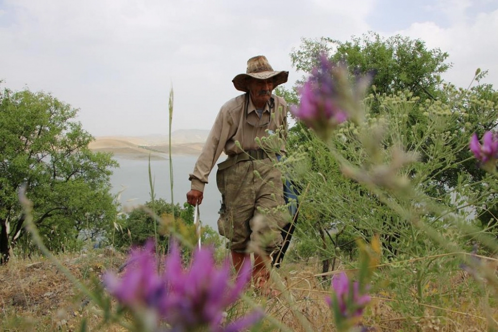 Robinson Ziya Dede Adasına Kavuştu!