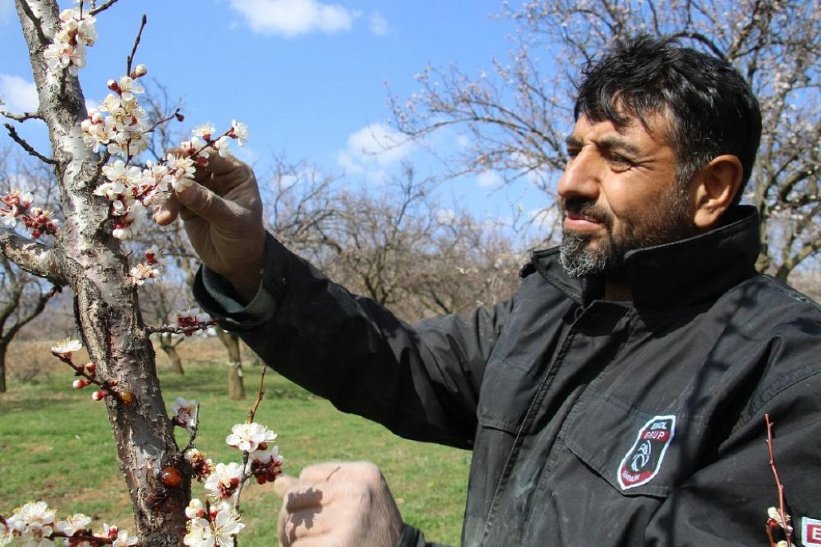 Elazığ'da Ağaçlar Beyaz Gelinliğini Giyindi