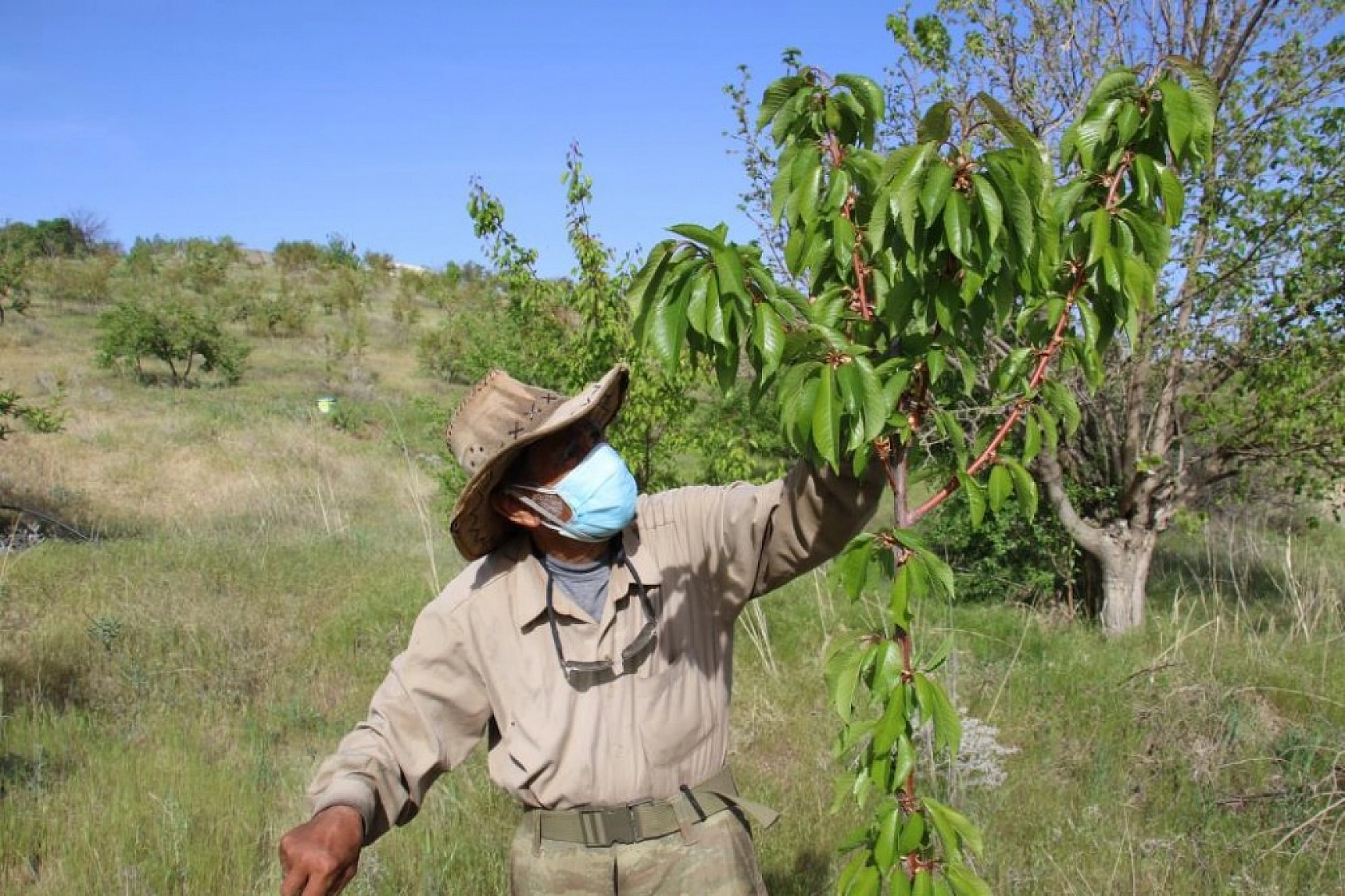 Robinson Ziya Dedenin Adası Baharla Birlikte Yeşile Büründü