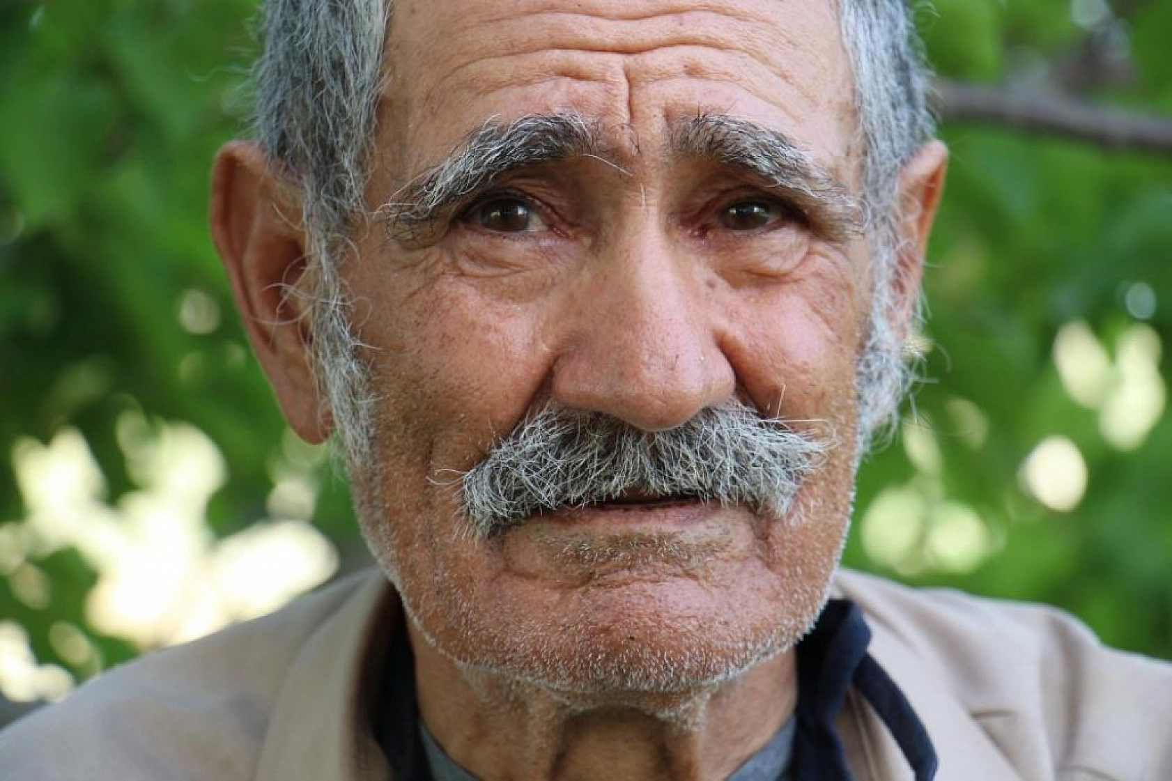 Robinson Ziya Dedenin Adası Baharla Birlikte Yeşile Büründü