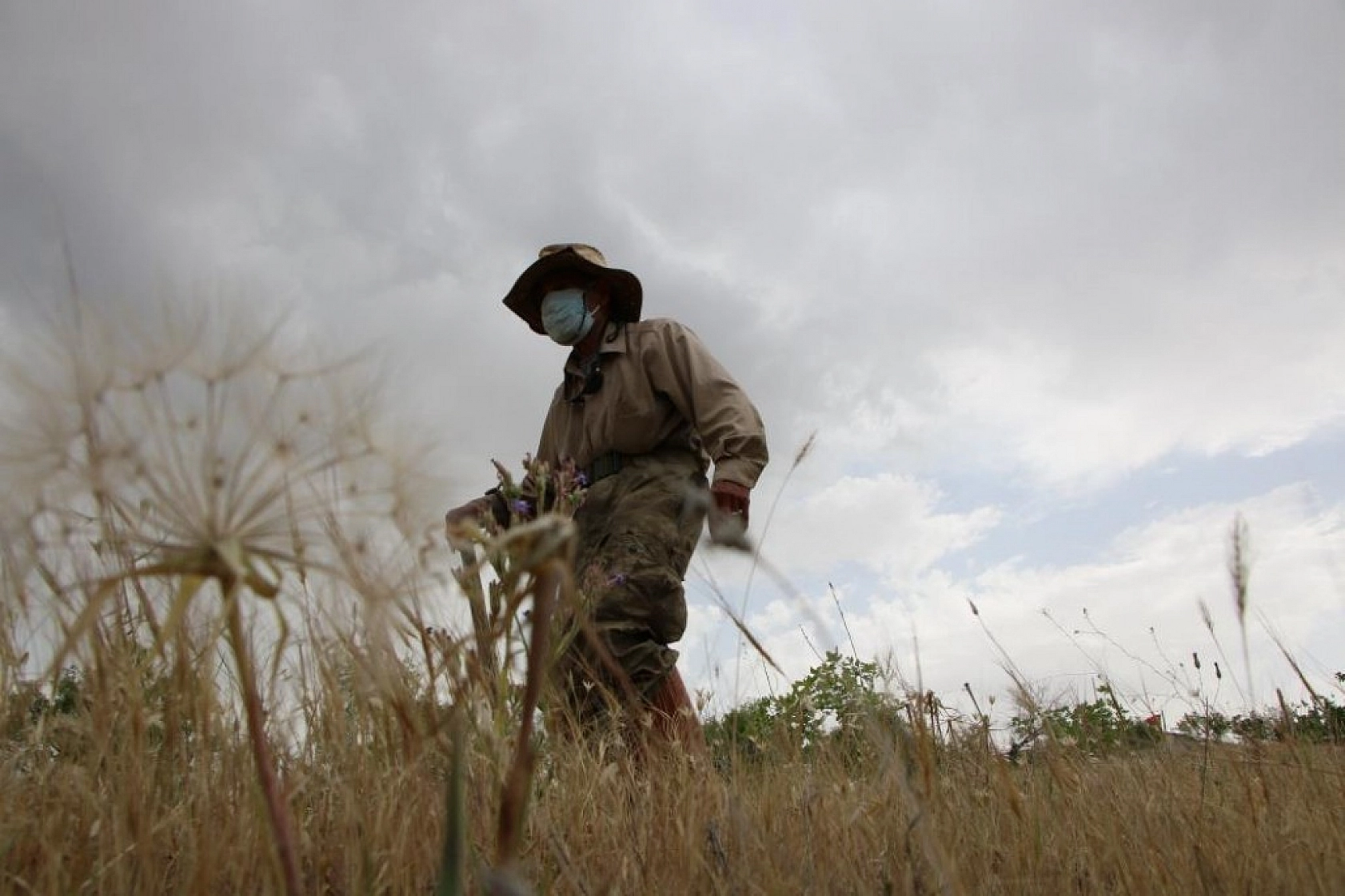 Robinson Ziya Dede Adasına Kavuştu!