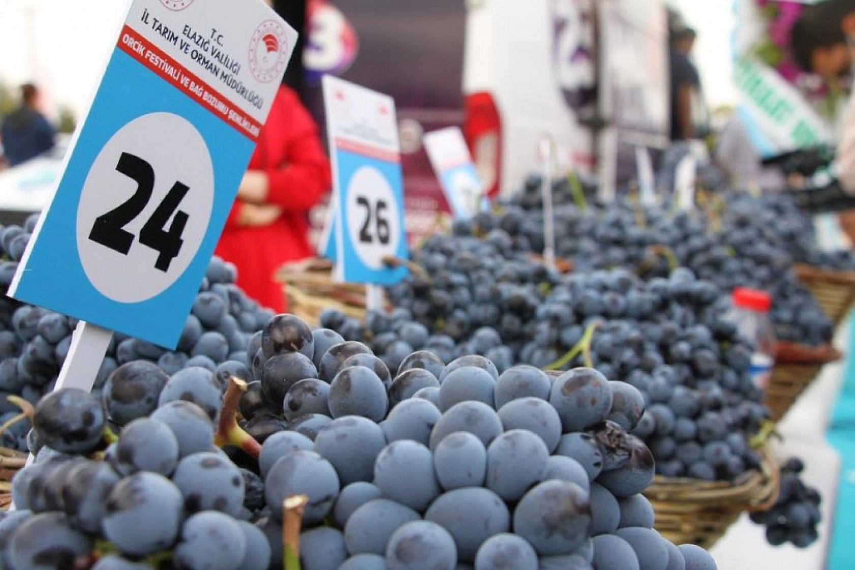 Bağ Bozumu ve Orcik Festivali Gerçekleştirildi