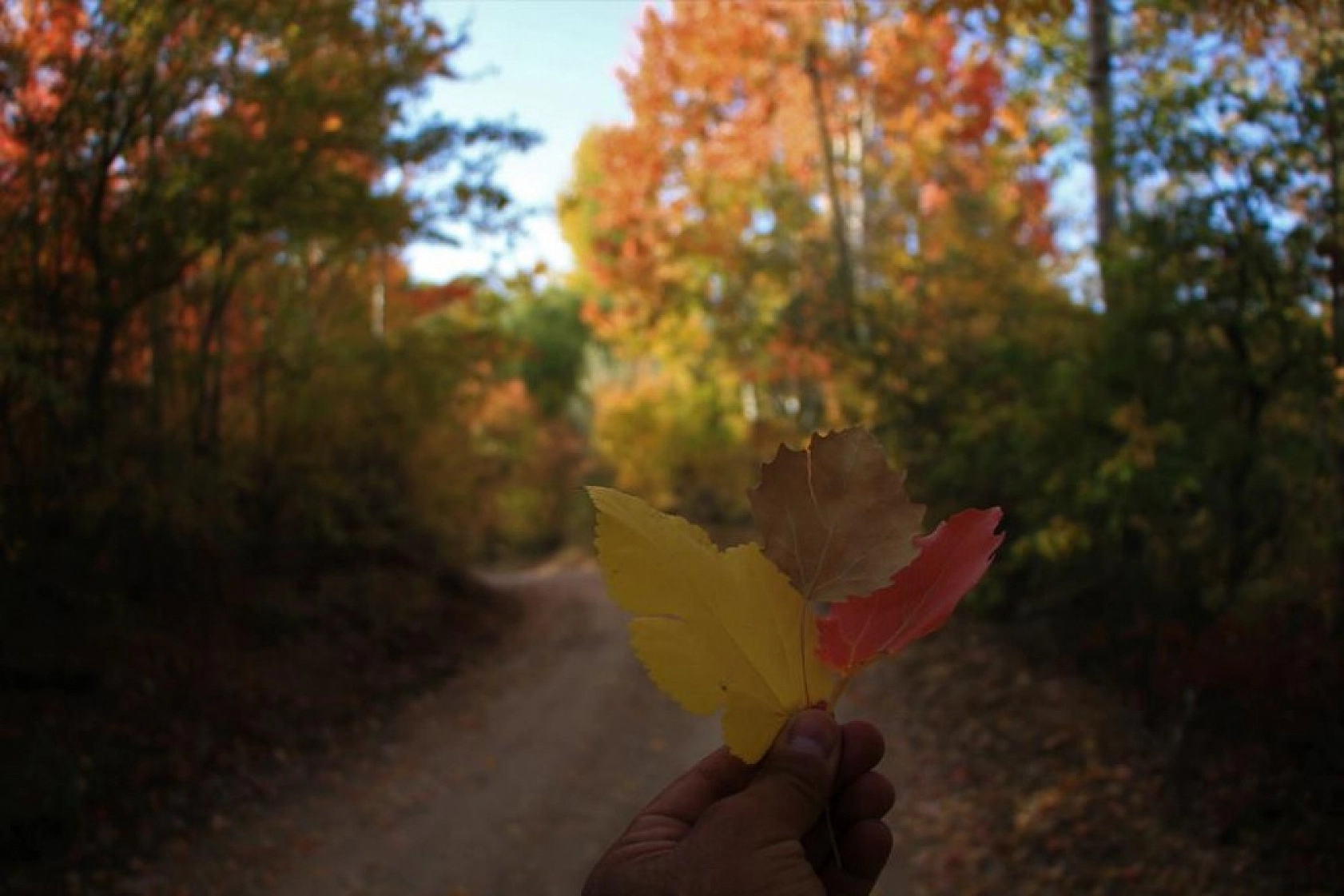 Her Mevsim Bir Başka Güzelsin El- Aziz!