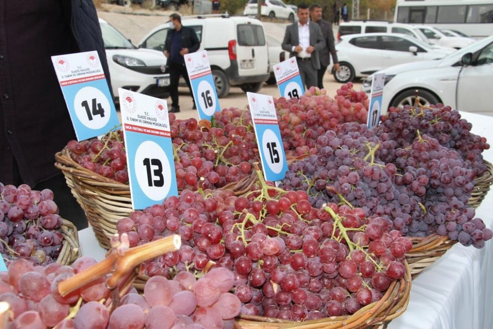 Bağ Bozumu ve Orcik Festivali Gerçekleştirildi
