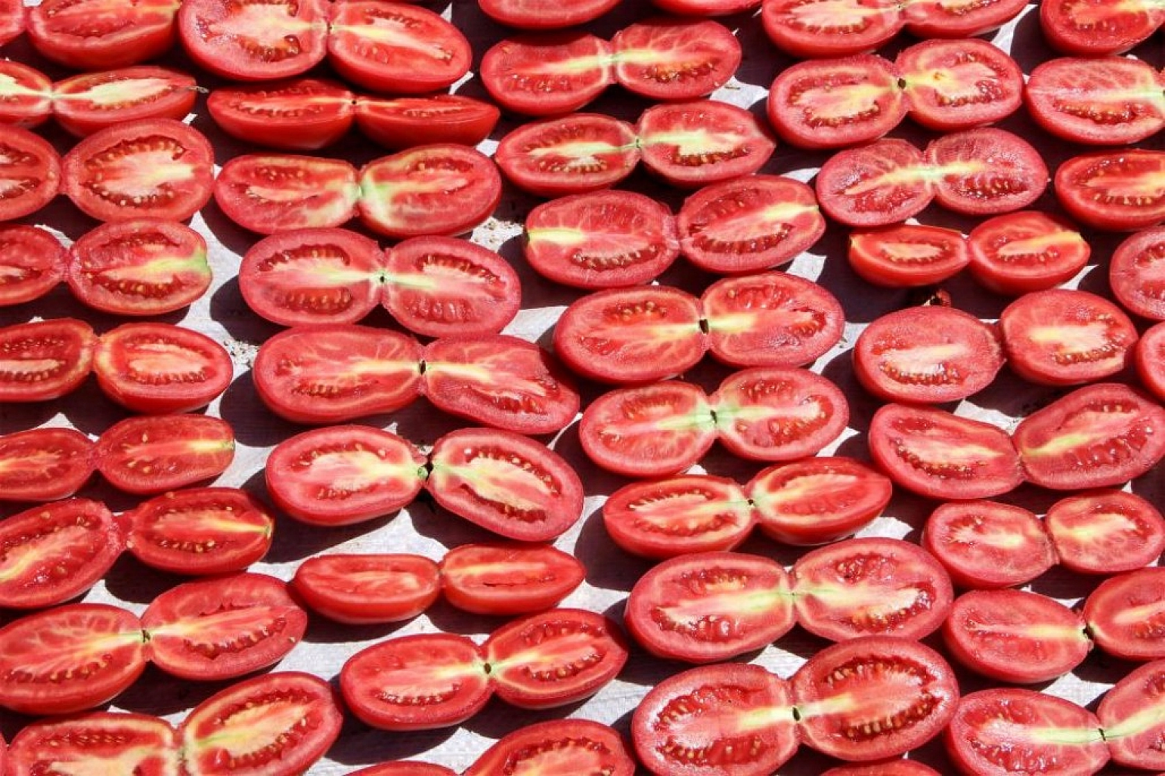 Sofralara Lezzet Katan Kurutmalık Domatesin Hasadı Başladı