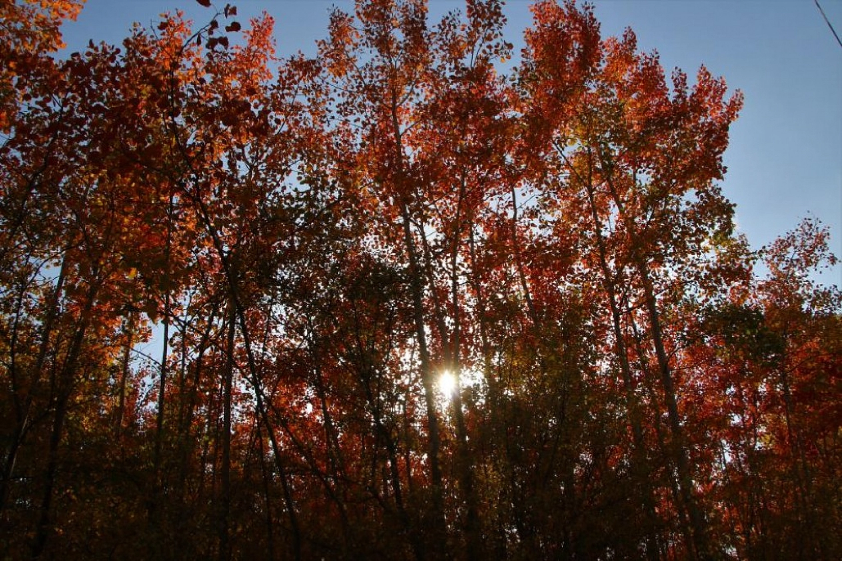 Her Mevsim Bir Başka Güzelsin El- Aziz!