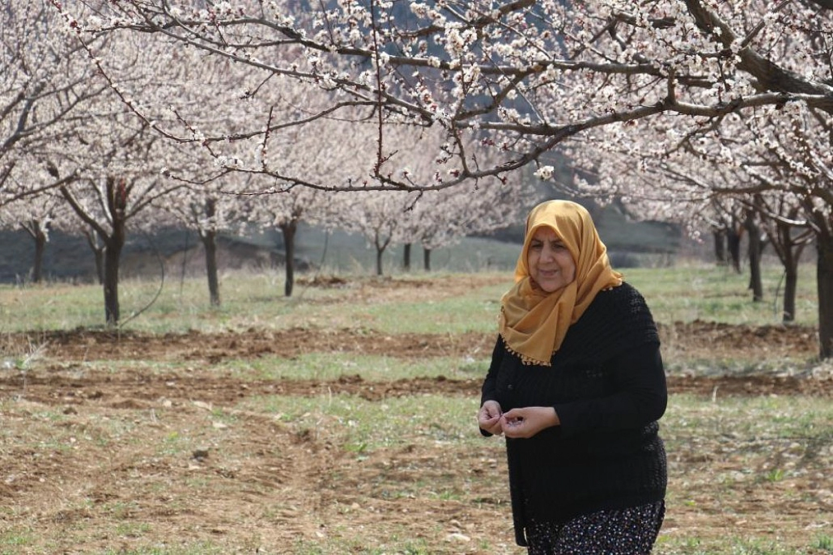 Elazığ'da Ağaçlar Beyaz Gelinliğini Giyindi