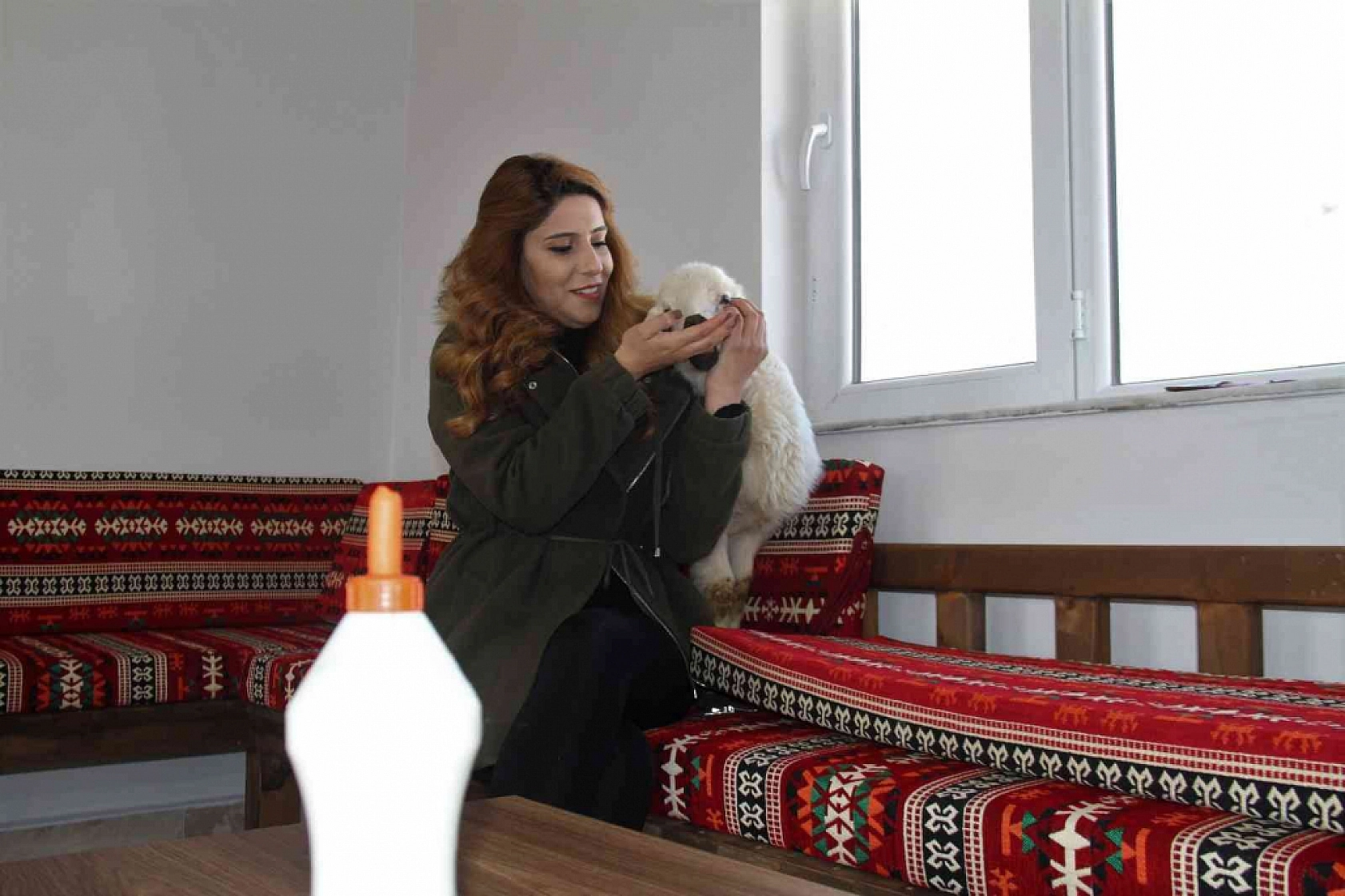 Annesini Kaybeden Kuzuyu Biberonla Besliyorlar