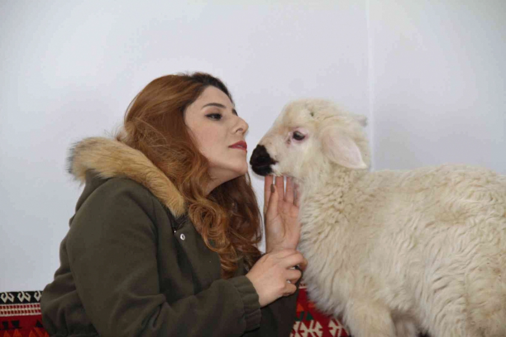 Annesini Kaybeden Kuzuyu Biberonla Besliyorlar