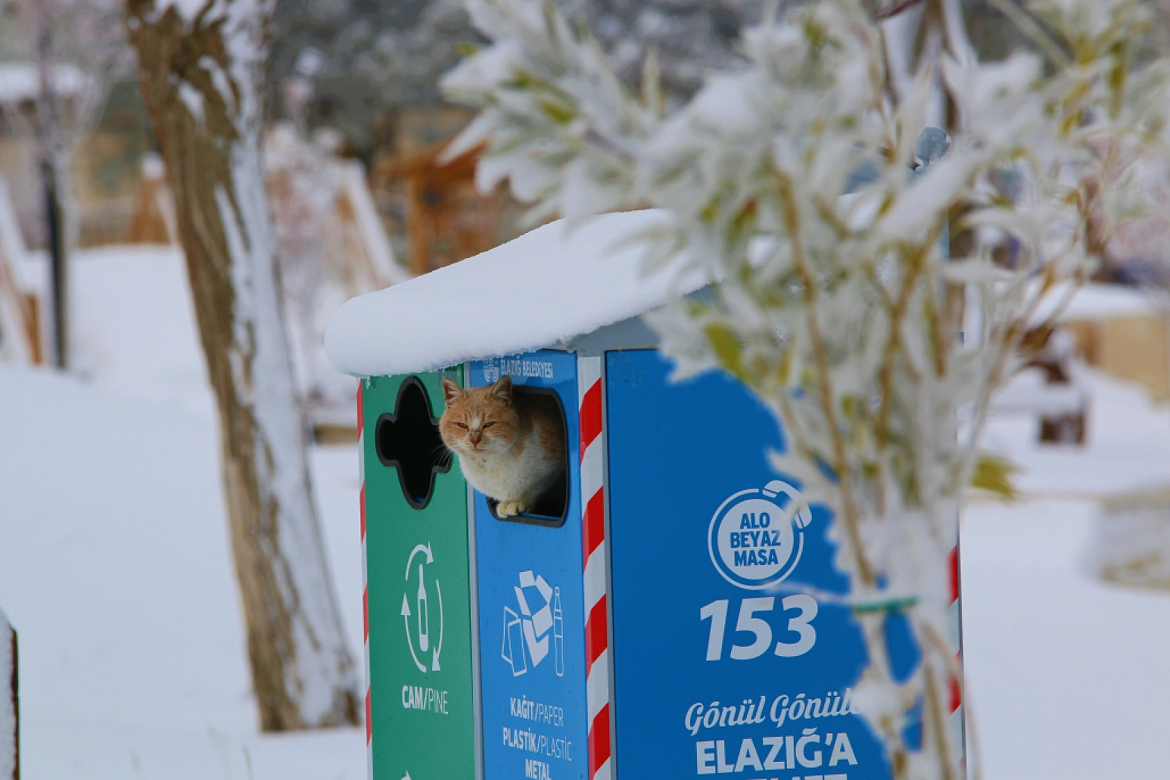 Elazığ'da Kartpostallık Görüntüler