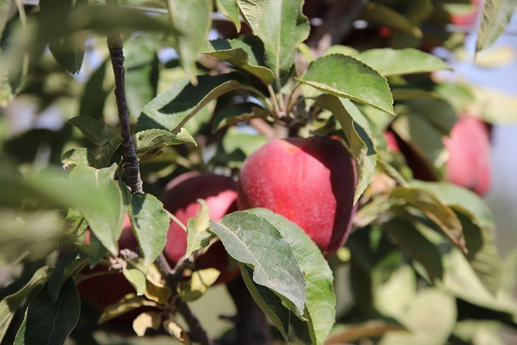 Memurluğu Bıraktı Kazancı 10 Kat Arttı