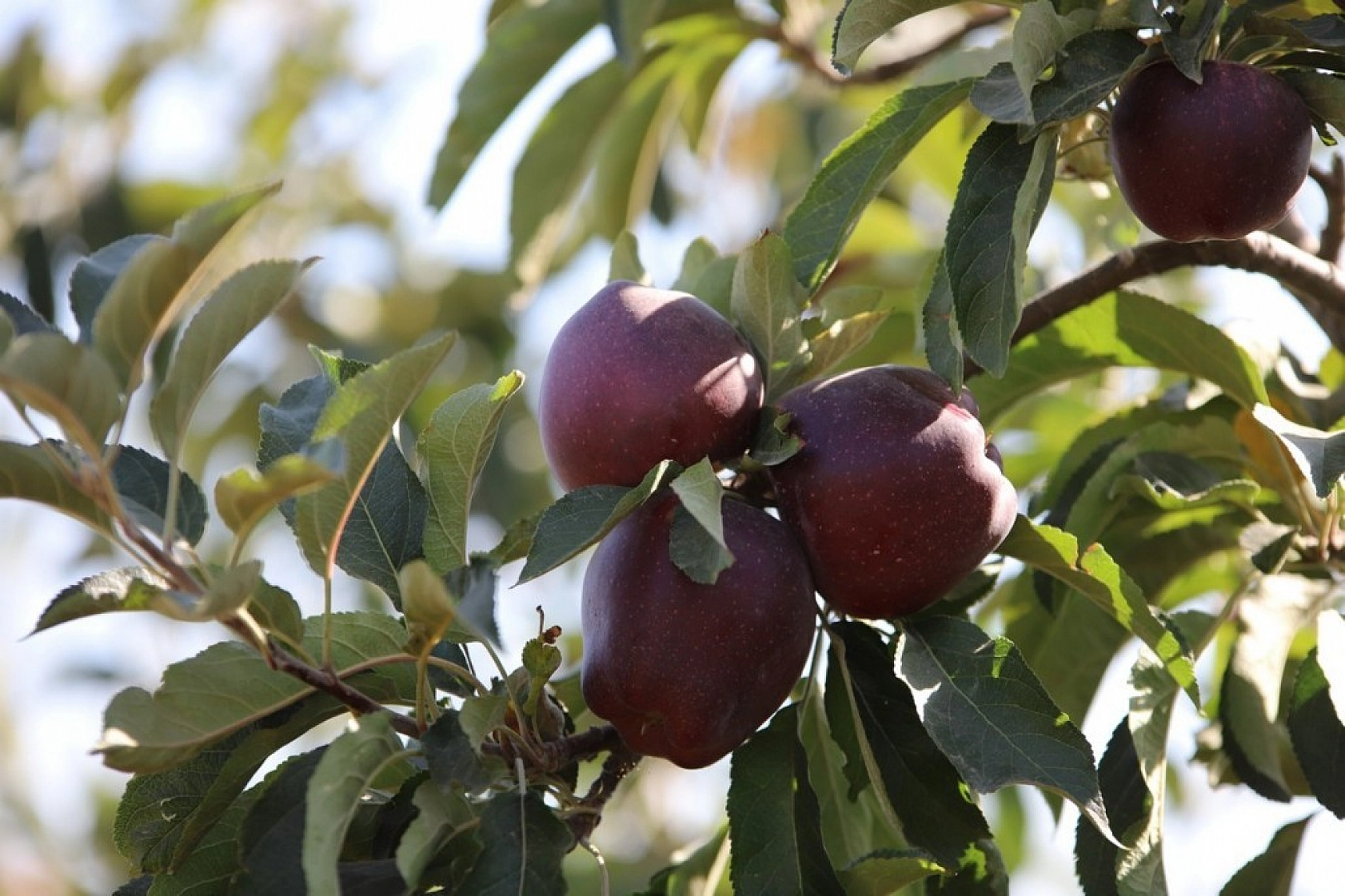 Memurluğu Bıraktı Kazancı 10 Kat Arttı