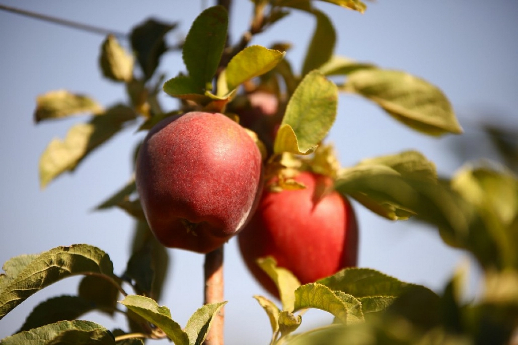 Memurluğu Bıraktı Kazancı 10 Kat Arttı