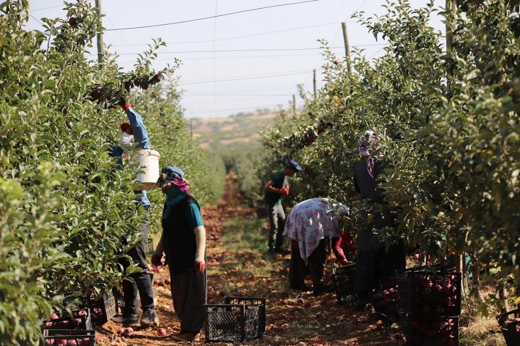 Memurluğu Bıraktı Kazancı 10 Kat Arttı