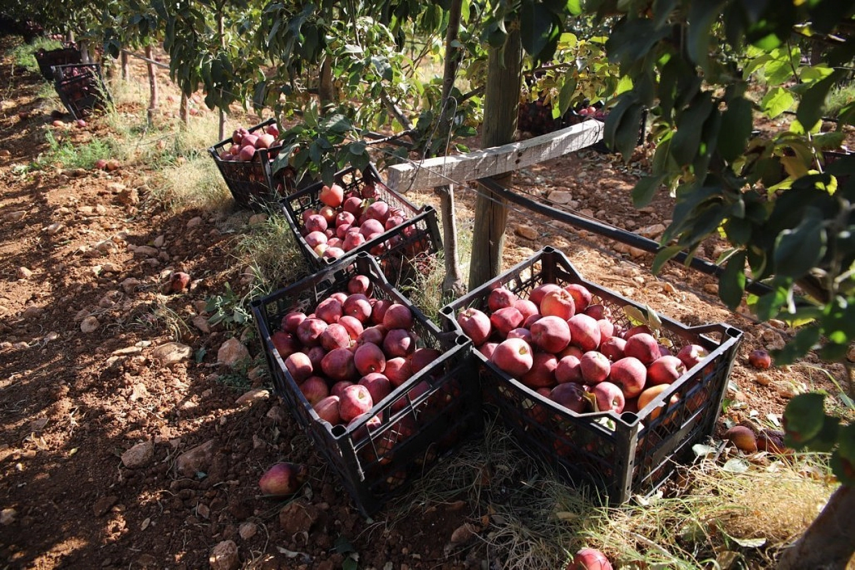 Memurluğu Bıraktı Kazancı 10 Kat Arttı