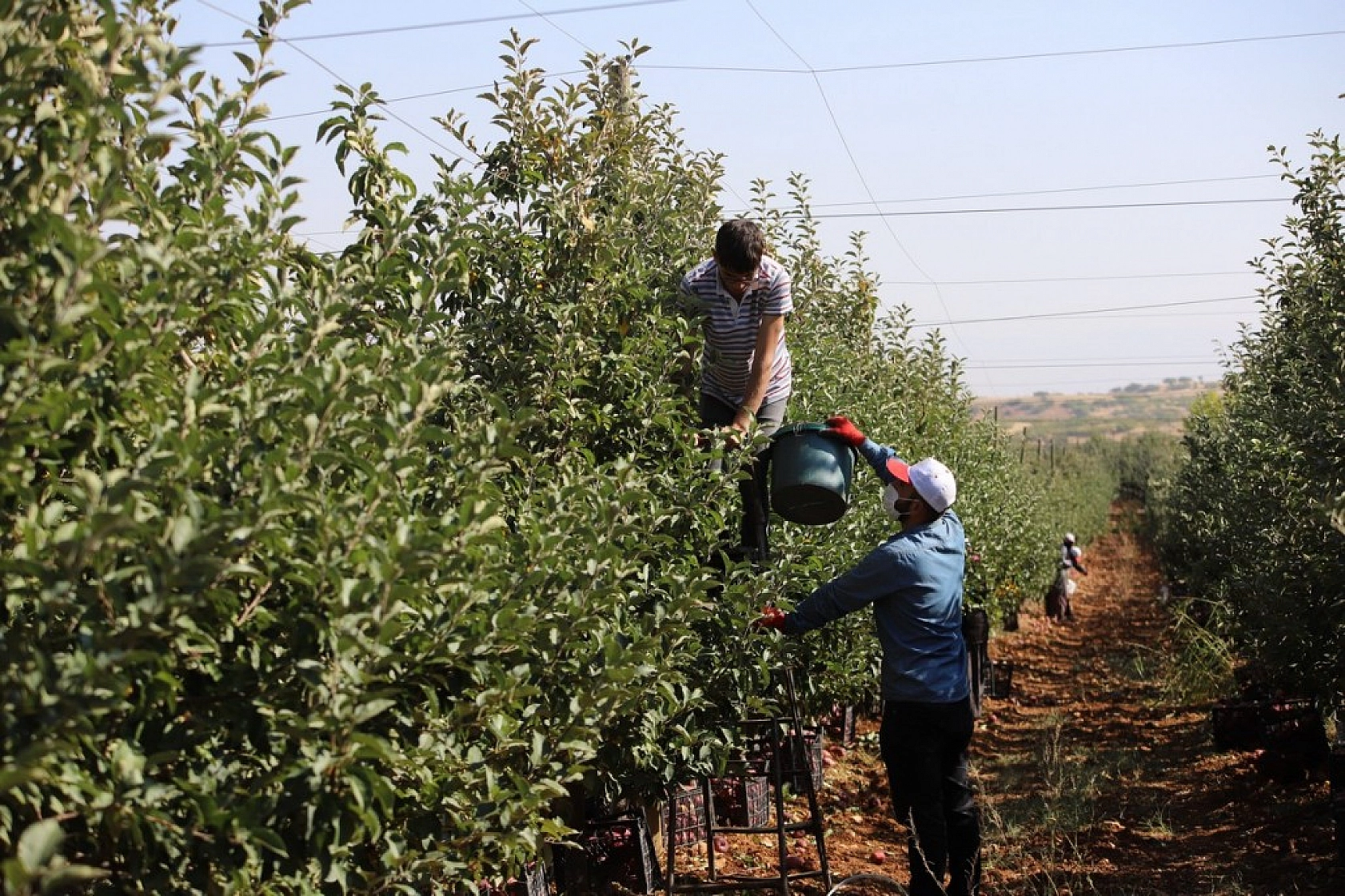 Memurluğu Bıraktı Kazancı 10 Kat Arttı