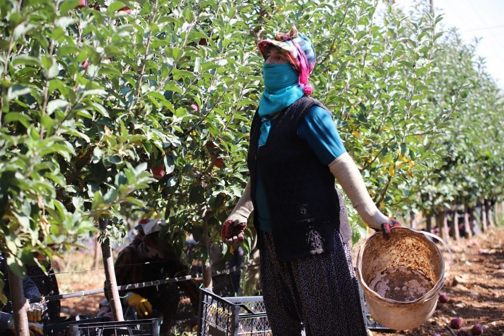 Memurluğu Bıraktı Kazancı 10 Kat Arttı