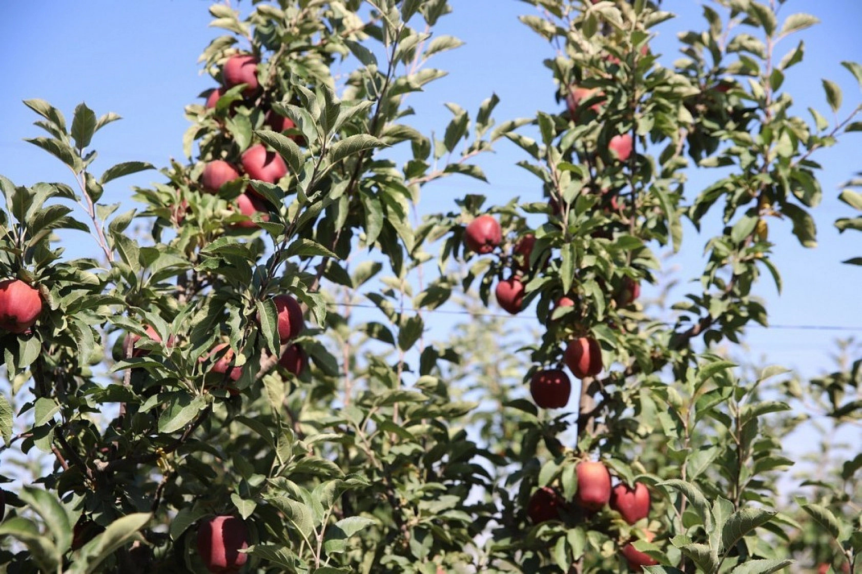 Memurluğu Bıraktı Kazancı 10 Kat Arttı