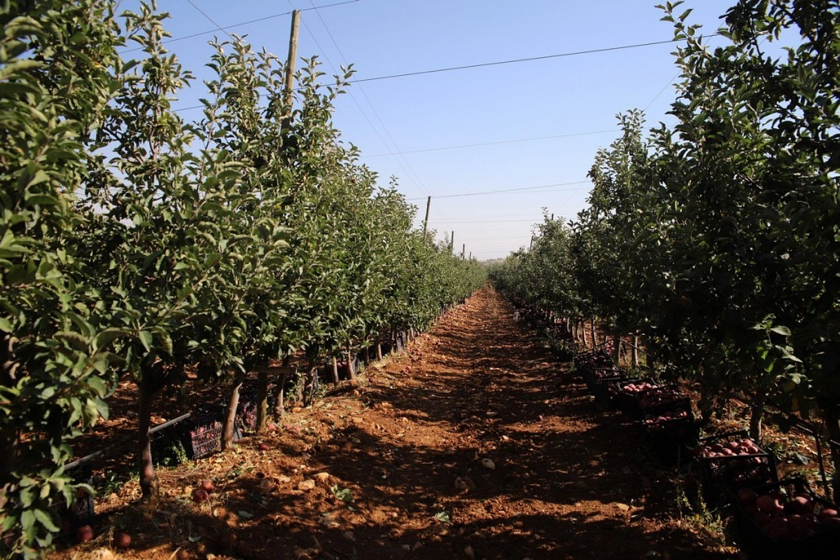 Memurluğu Bıraktı Kazancı 10 Kat Arttı