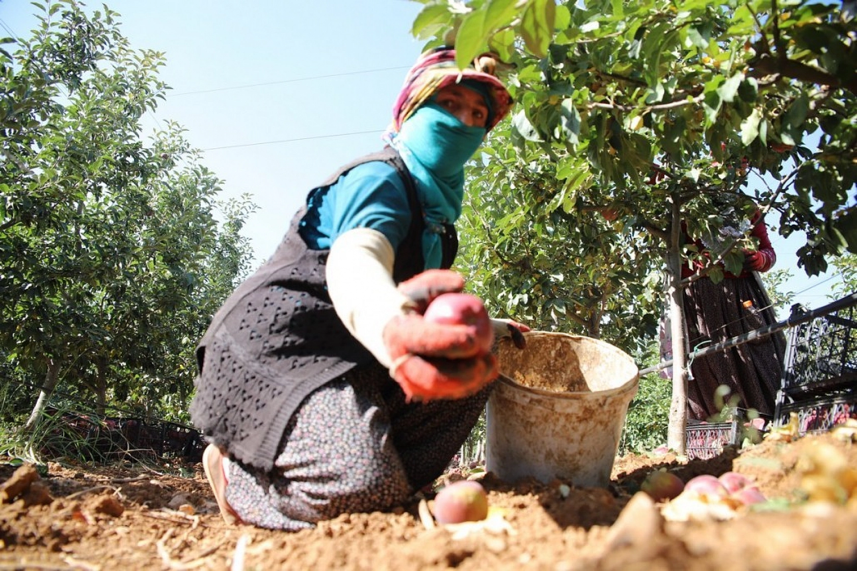 Memurluğu Bıraktı Kazancı 10 Kat Arttı