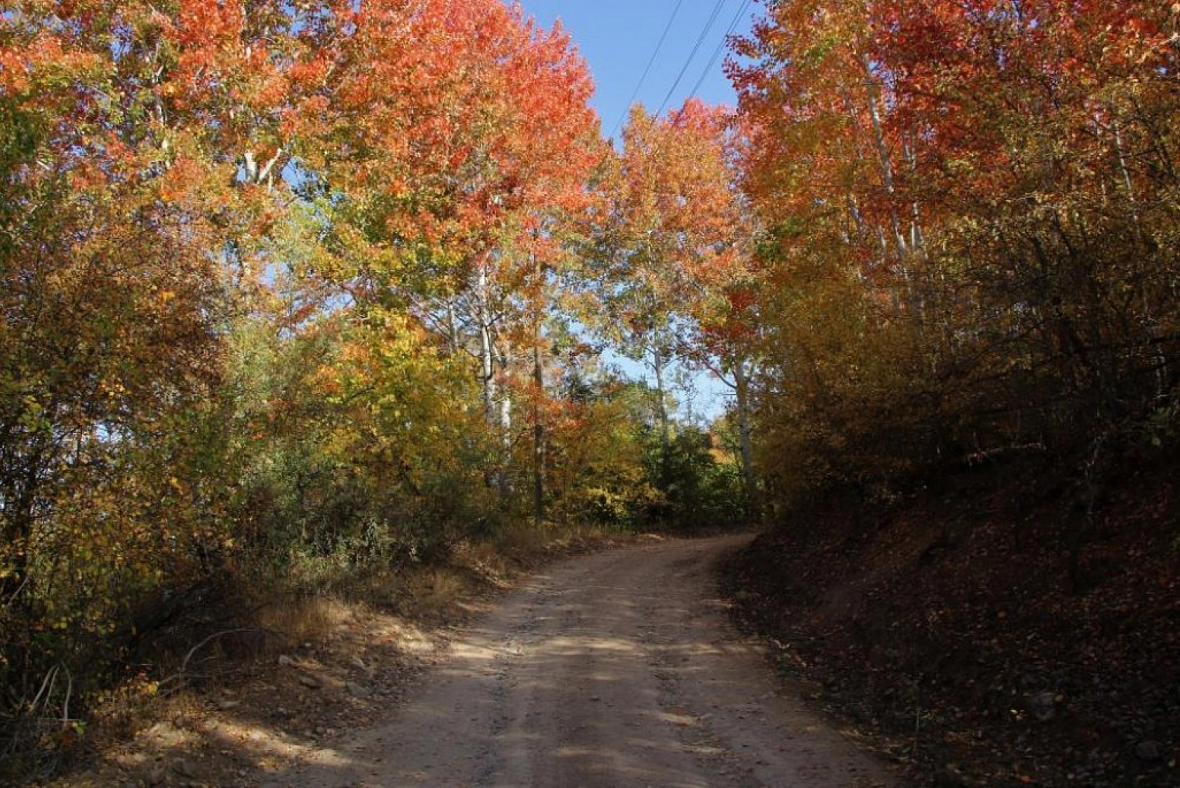 Her Mevsim Bir Başka Güzelsin El- Aziz!