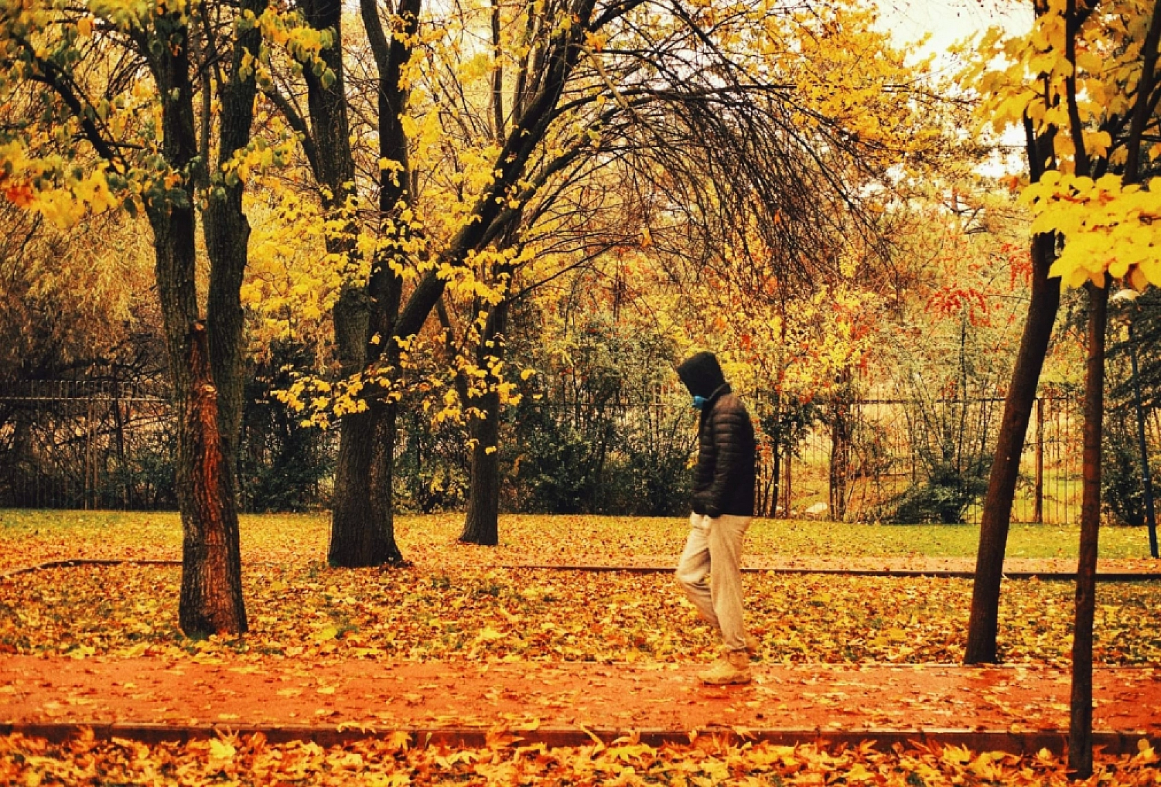 Kampüste Sonbahar Güzelliği