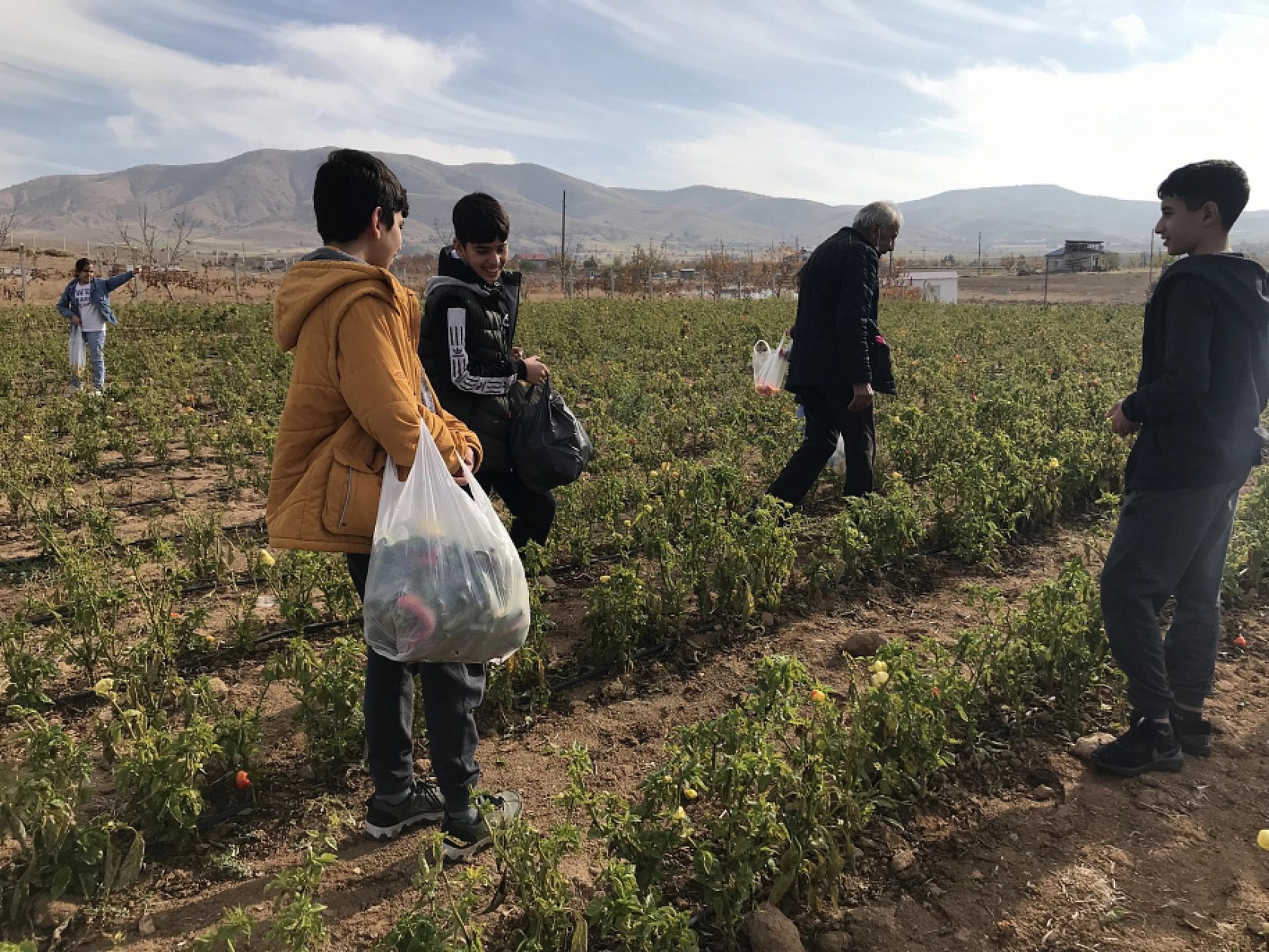Elazığ'da Sebze Tarlasını Vatandaşlara Ücretsiz Açtı