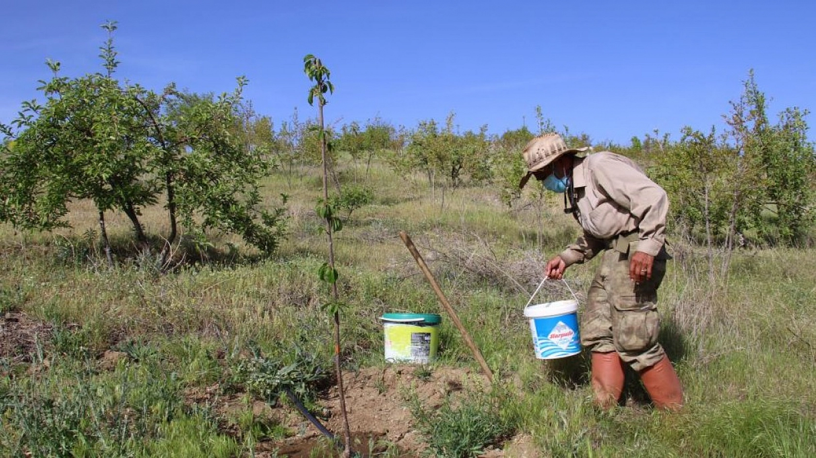 Robinson Ziya Dedenin Adası Baharla Birlikte Yeşile Büründü