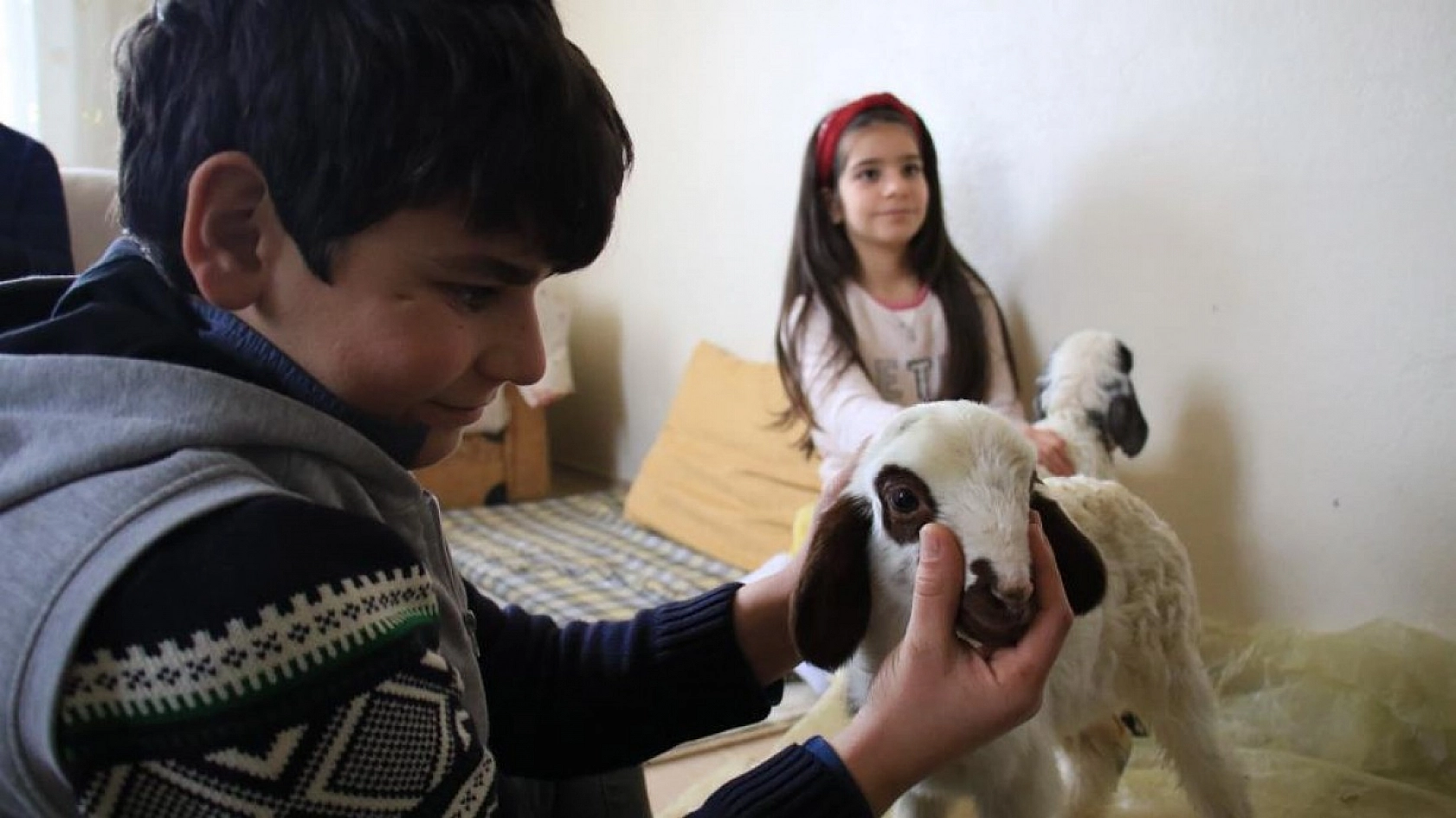 Kuzulara Kendi Bebeği Gibi Bakıyor