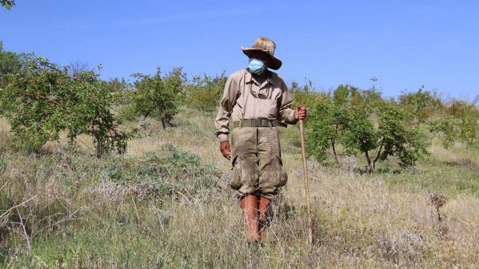 Robinson Ziya Dedenin Adası Baharla Birlikte Yeşile Büründü