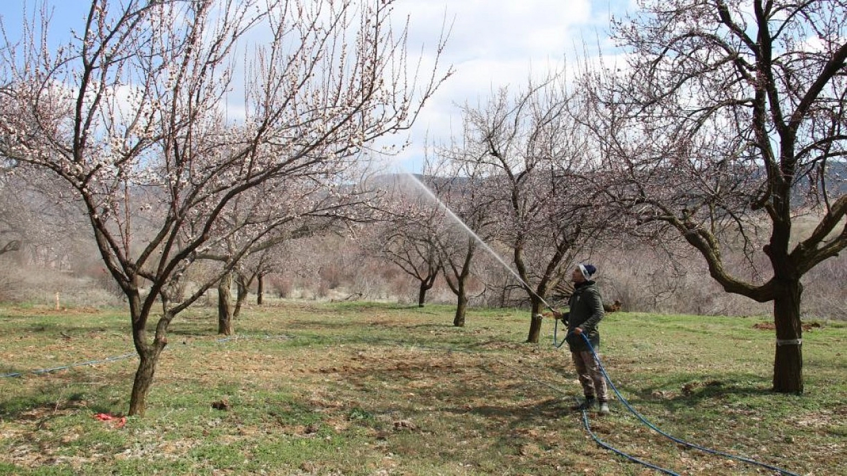 Elazığ'da Ağaçlar Beyaz Gelinliğini Giyindi