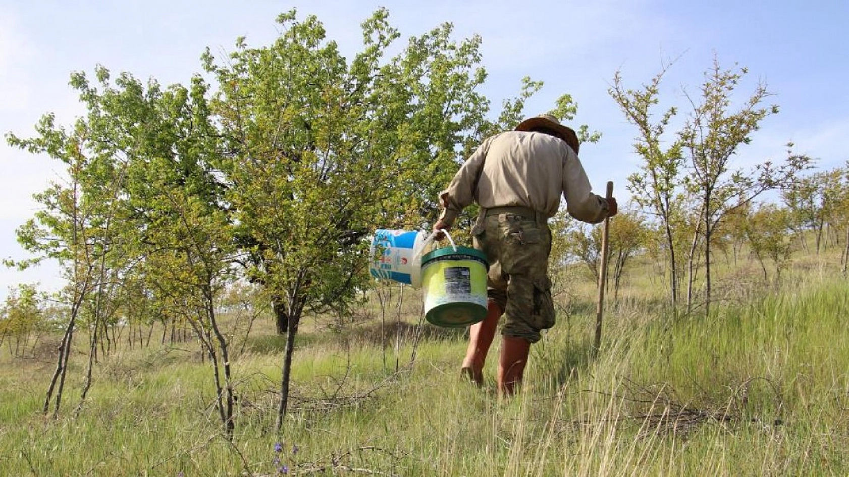 Robinson Ziya Dedenin Adası Baharla Birlikte Yeşile Büründü