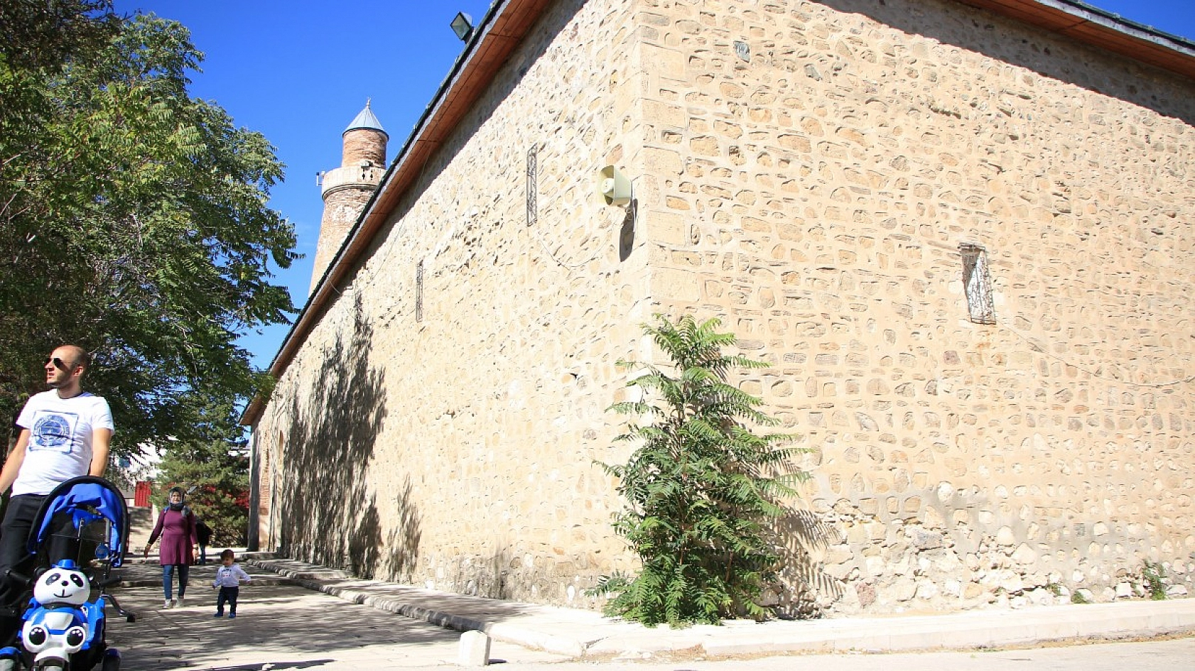 Elazığ'da ki Ağacın Hikayesi Herkesi Şaşırtıyor