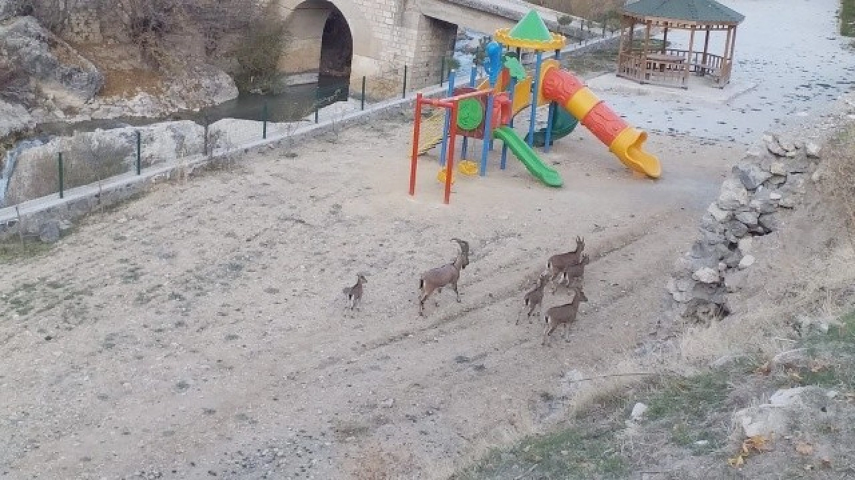 İlk Defa Bu Kadar Yakından Görüntülendi