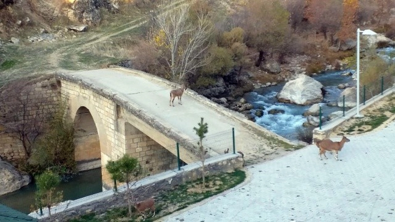 İlk Defa Bu Kadar Yakından Görüntülendi