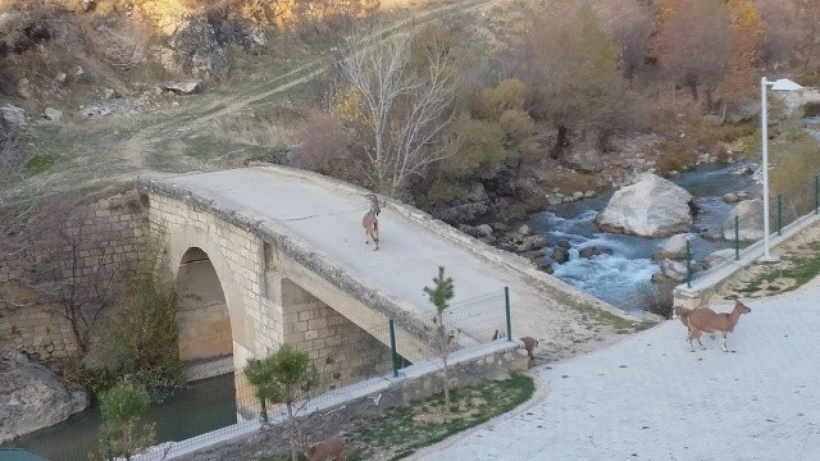 İlk Defa Bu Kadar Yakından Görüntülendi