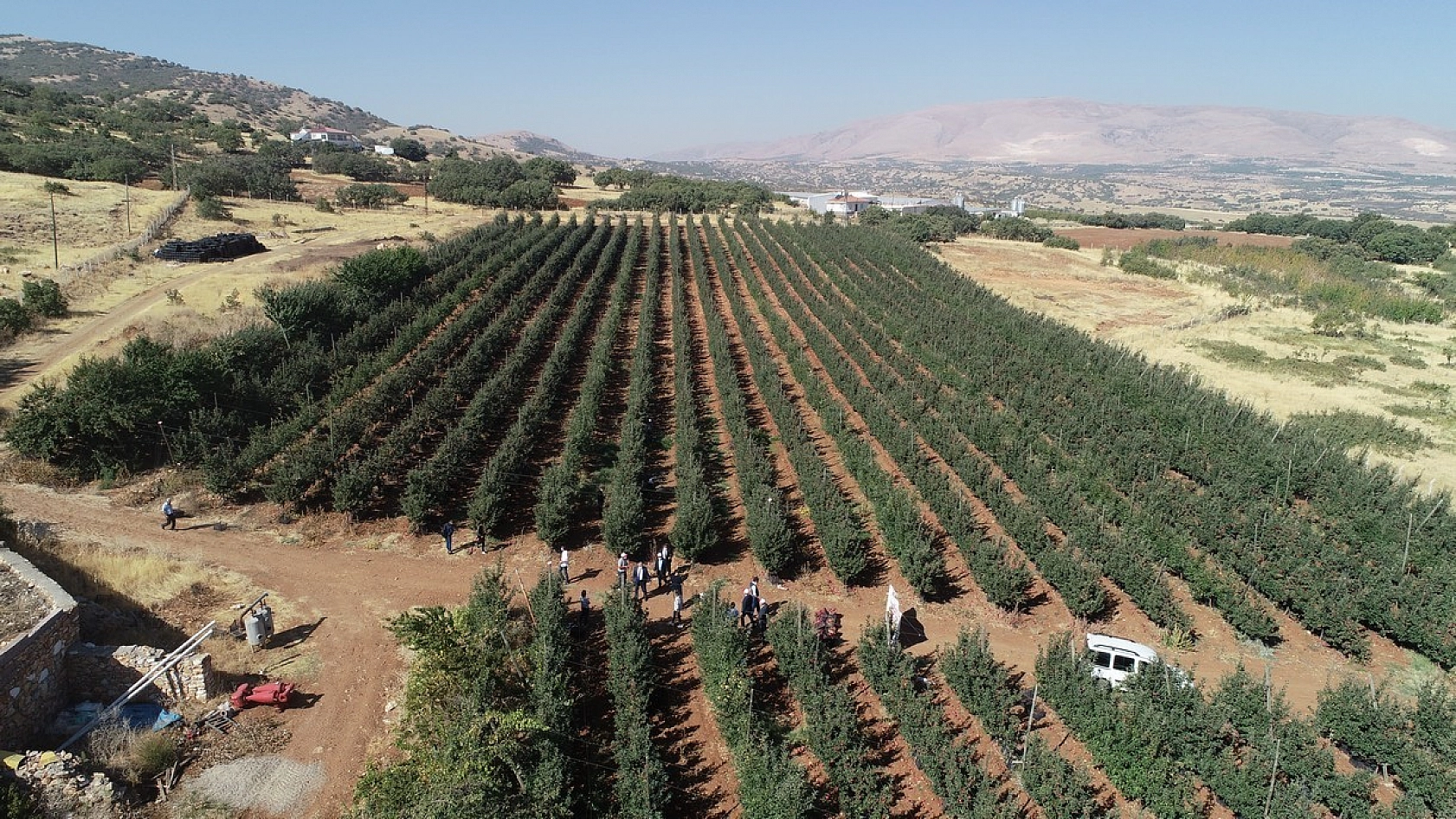 Memurluğu Bıraktı Kazancı 10 Kat Arttı