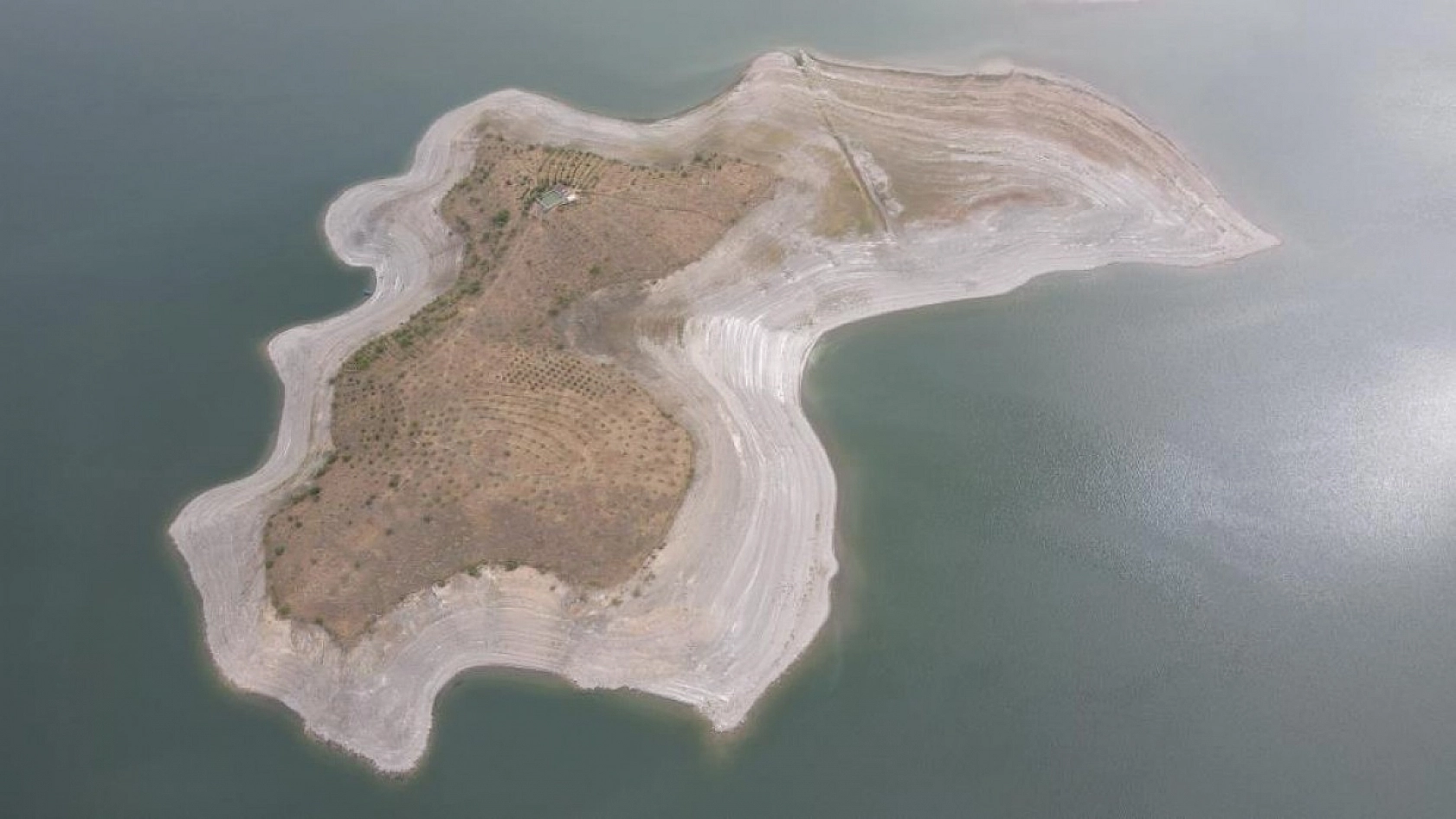 Robinson Ziya Dede Adasına Kavuştu!