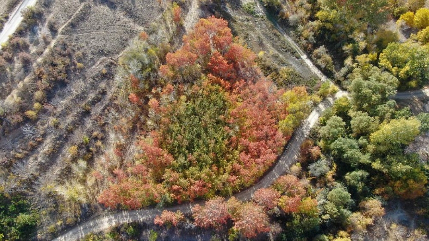 Her Mevsim Bir Başka Güzelsin El- Aziz!