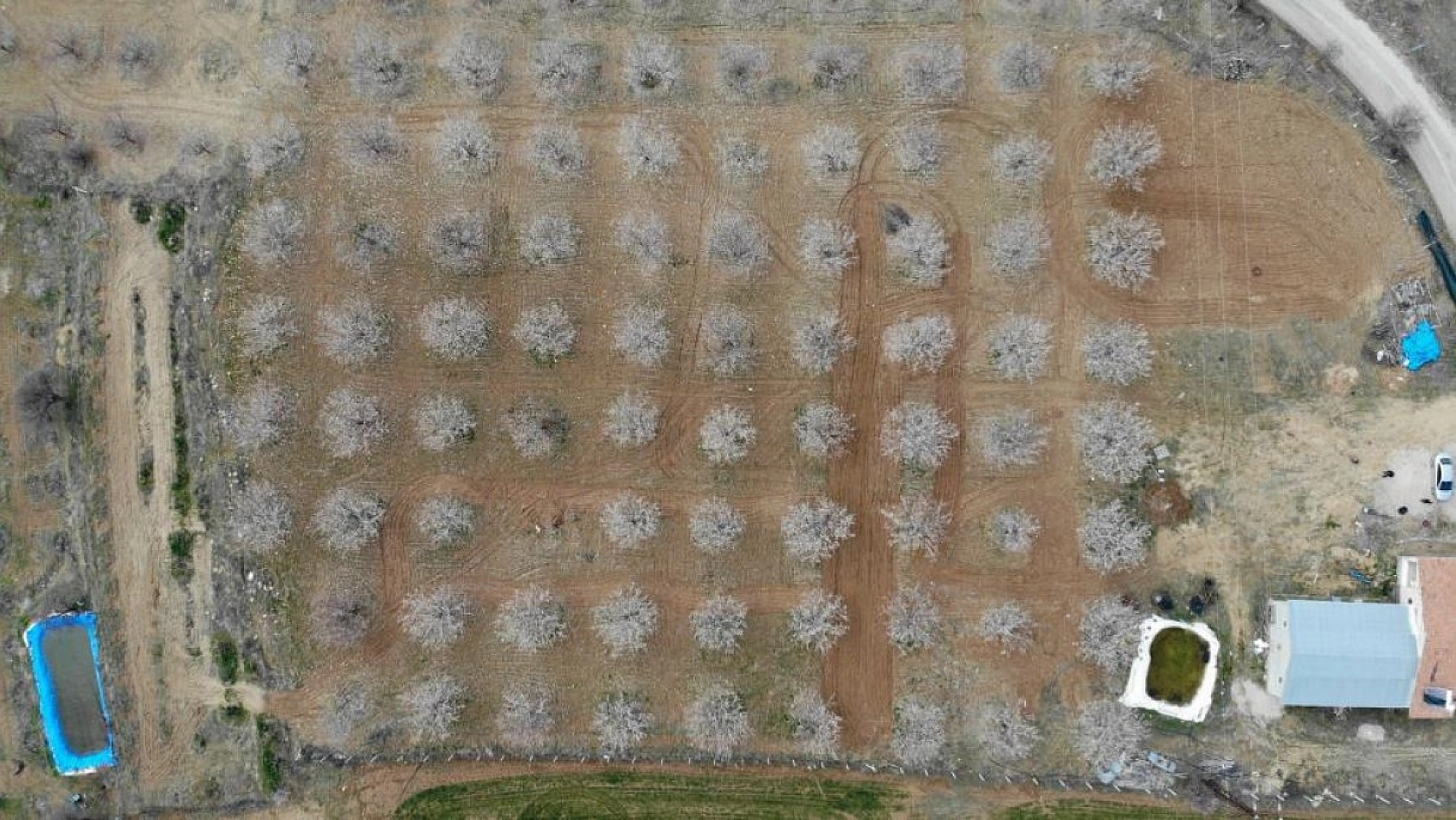 Elazığ'da Ağaçlar Beyaz Gelinliğini Giyindi