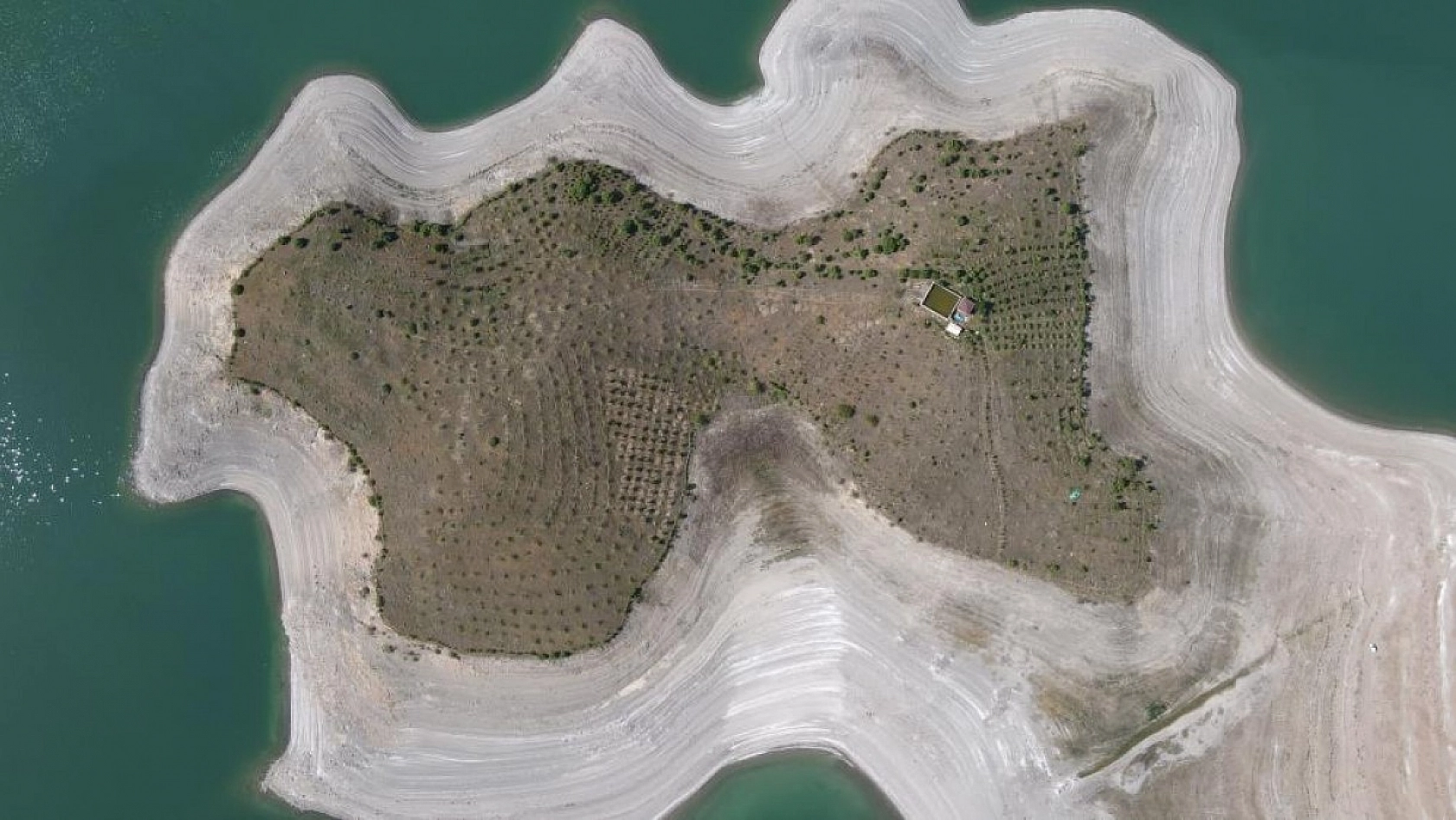 Robinson Ziya Dedenin Adası Baharla Birlikte Yeşile Büründü