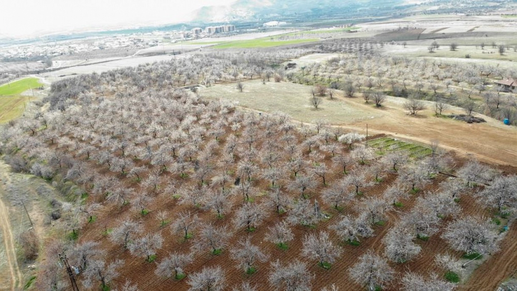 Elazığ'da Ağaçlar Beyaz Gelinliğini Giyindi